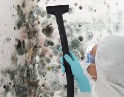 Mold Odor Removal Services in Crestline, CA